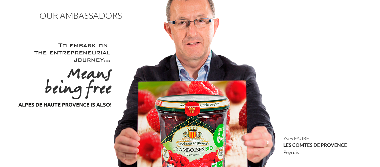 Yves FAURE - Les Comtes de Provence