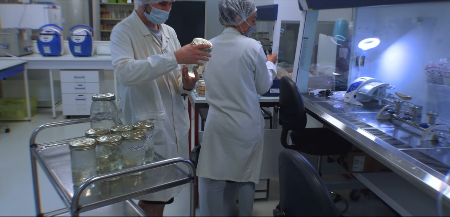 Entreprise Albhades à Oraison