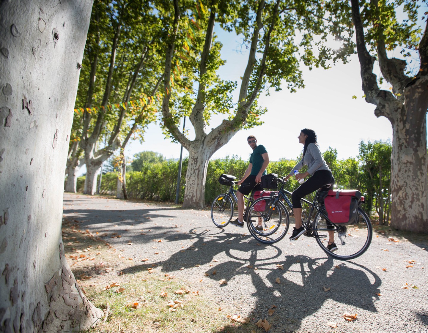 Fahrrad & WanderReisen ©Thierry Seray – CRT Provence-Alpes-Côte d'Azur