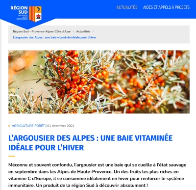 Région Sud sur l'argousier