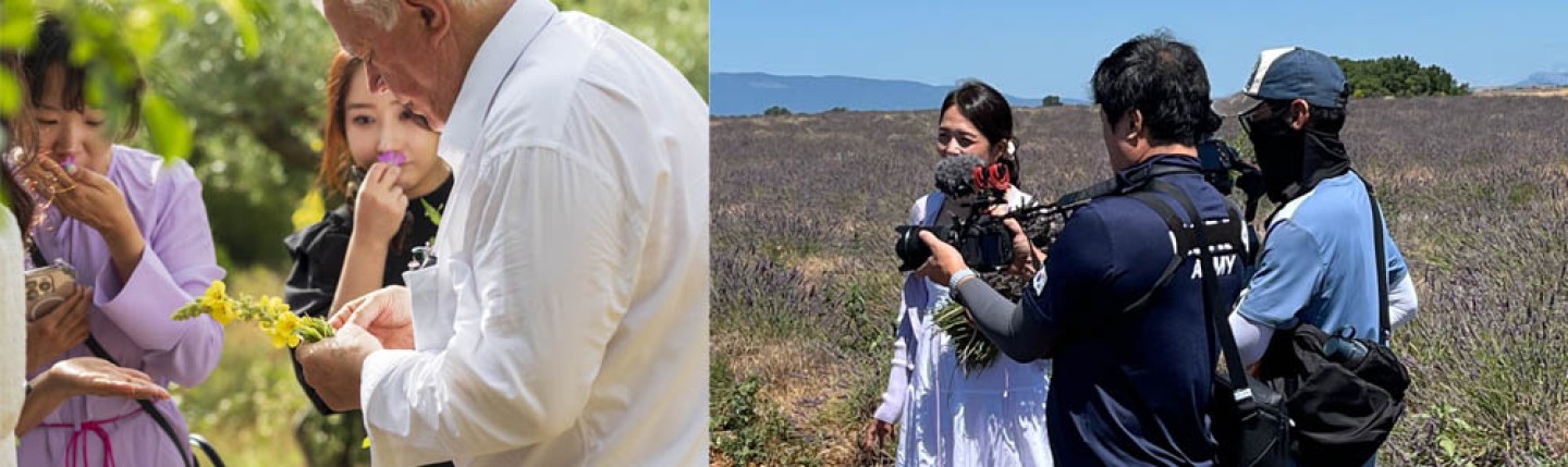 accueil Corée saveurs senteurs