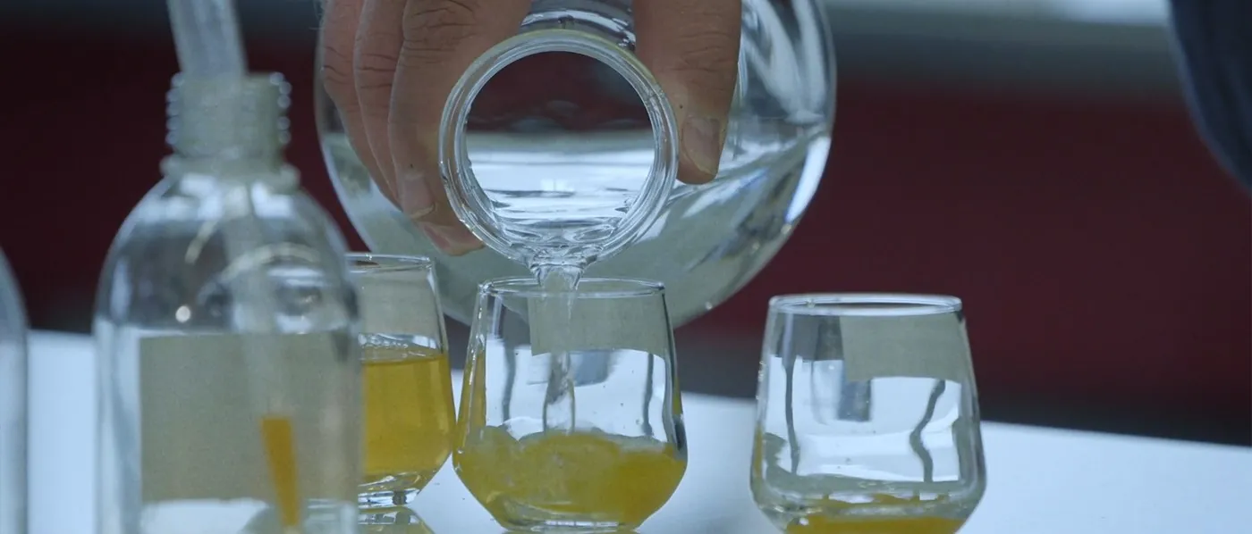 Implantation de l'entreprise EDEN ECOSYSTEM